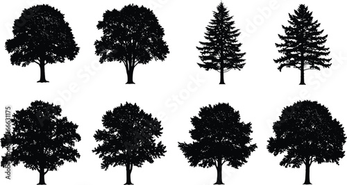 Tree, silhouette, forest, botanical, nature, deciduous, coniferous, black, shape, design, landscape, seasonal, minimal, outdoor, illustration, variety, species, branching, foliage, grid