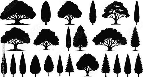 Tree, silhouette, forest, botanical, nature, deciduous, coniferous, black, shape, design, landscape, seasonal, minimal, outdoor, illustration, variety, species, branching, foliage, morphology