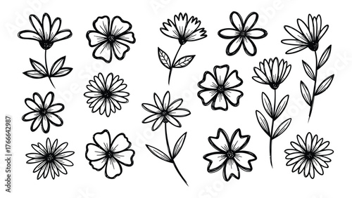 Whimsical hand-drawn flower illustrations in black and white delicate floral motifs for artistic design projects