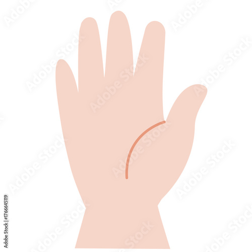 Number Five Hand Gesture - Minimalist Finger Counting Vector