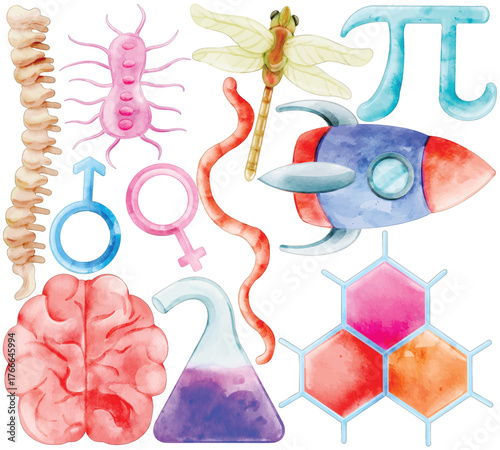 Watercolor Science Biology Clip Art Set Rocket Brain Spine Gender Symbol Pi Dragonfly Insect Flask Molecule Illustration School Education Study Laboratory