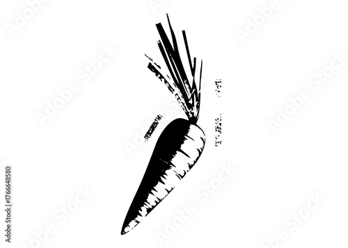 Carrot Illustrates Growth in Agriculture