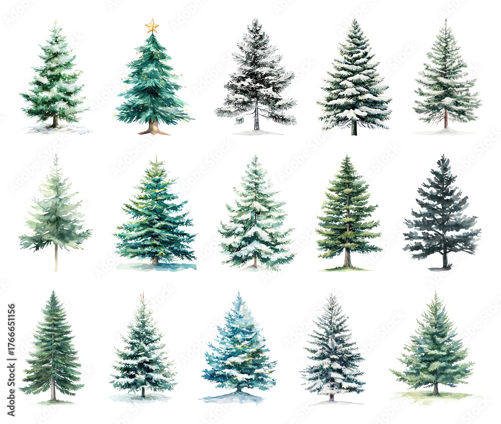 Obraz premium Diverse snowy evergreen trees illustration.