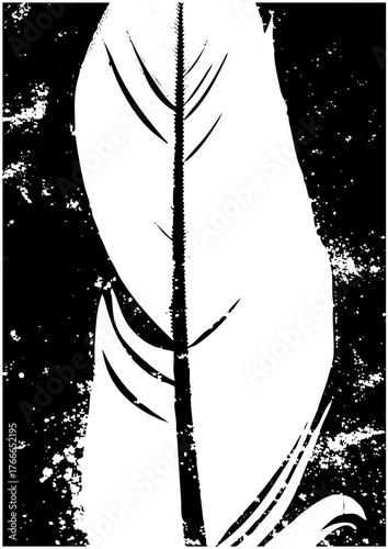 Feather floats gracefully in abstraction