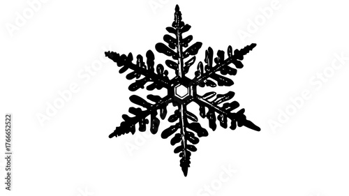 Snowflake illustrates winter detail in a seasonal design