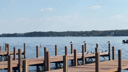 Sea Gulls Resting On Wooden Docks At Sunset In Lake Geneva, Wisconsin, United States. Static Shot