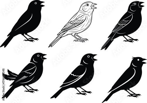 Singing bird silhouette, black vector illustration, stylized animal design, side profile pose, tropical wildlife art, open beak motion, decorative feathers