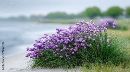 Close Up Of Tall Green Grass With Purple Flowers On A Sandy Beach With Blurred Water And Trees In The Background On A Misty Day