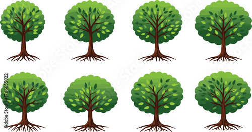 Stylized tree illustration set, cartoon forest trees with roots, green leafy canopy, nature design collection, educational botanical clipart, eco friendly vector art isolated