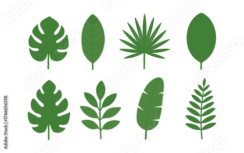 Set of flat green tropical and botanical leaves isolated on white background. Decorative foliage collection. Nature and plant concept for design and print