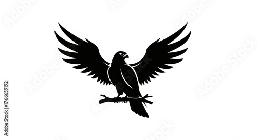 A striking black silhouette of a hawk perched on a branch with its wings spread wide.