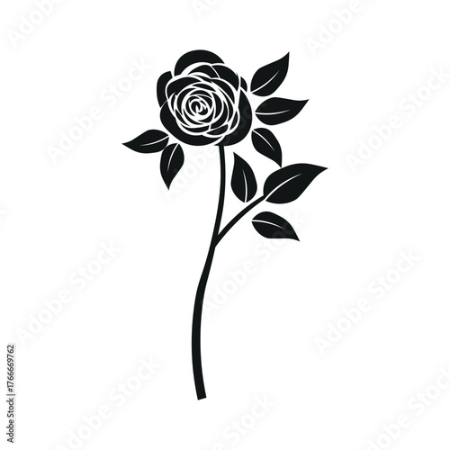 Black Rose