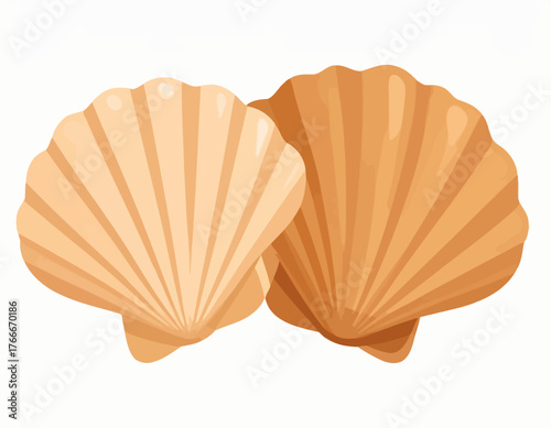 Two Seashells Beach Finds and Coastal Treasures Depicted in Vector Art