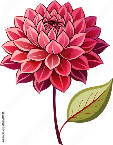 single  Dahlia flowers vector art icon white background 
