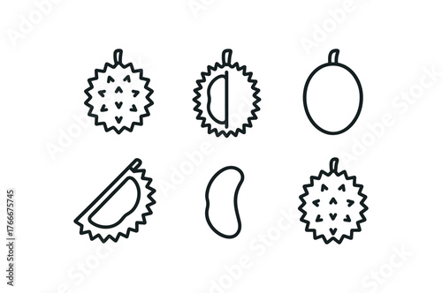 simple outline stroke icon isolated on white background tropical durian fruit spiky fruit split fruit whole fruit cut fruit flesh exotic fruit strong fruit