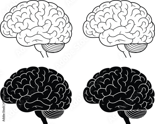Set of black and white vector illustrations showing human brains in outline and silhouette. Graphics for mind, thought, intelligence, and cognitive functions