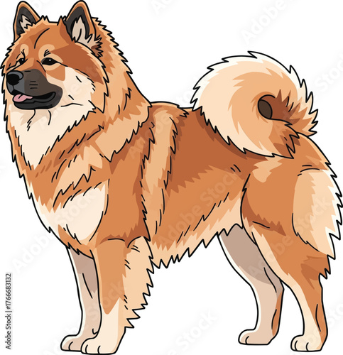 Eurasier dog standing side profile view vector illustration