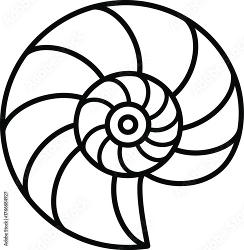 Stylized nautilus shell outline drawing geometric spiral pattern