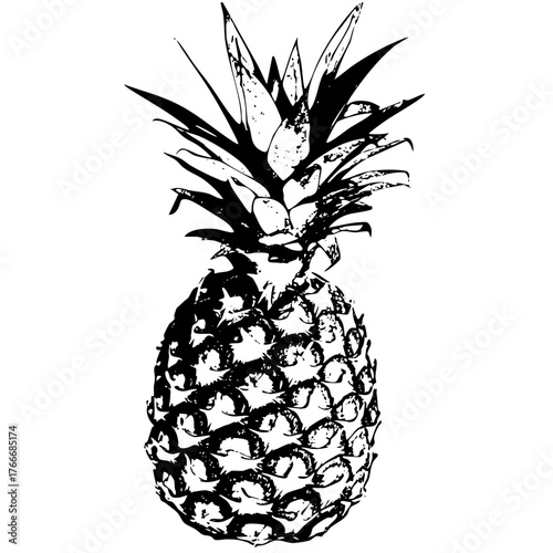 Illustrates Tropical Flavor in Culinary Design