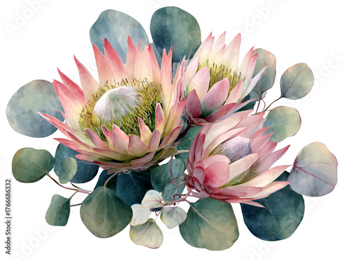Untitled design - a watercolor floral arrangement featuring king proteas in soft pinks and greens.
