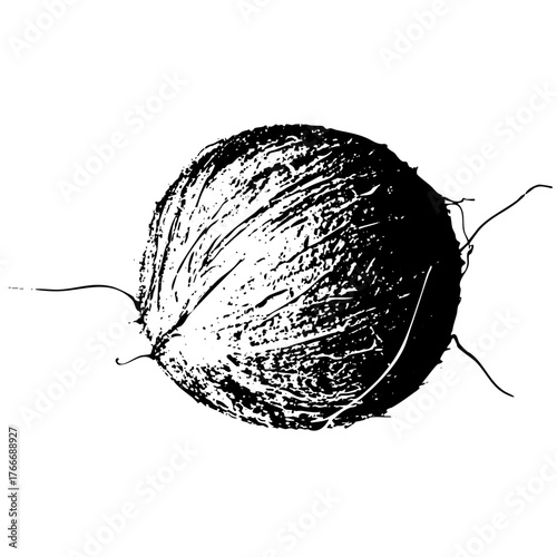 Coconut Illustrates Texture in Tropical Still Life