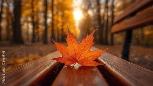 A beautiful maple leaf lies on a bench against the backdrop of autumn trees in the park, nature and season