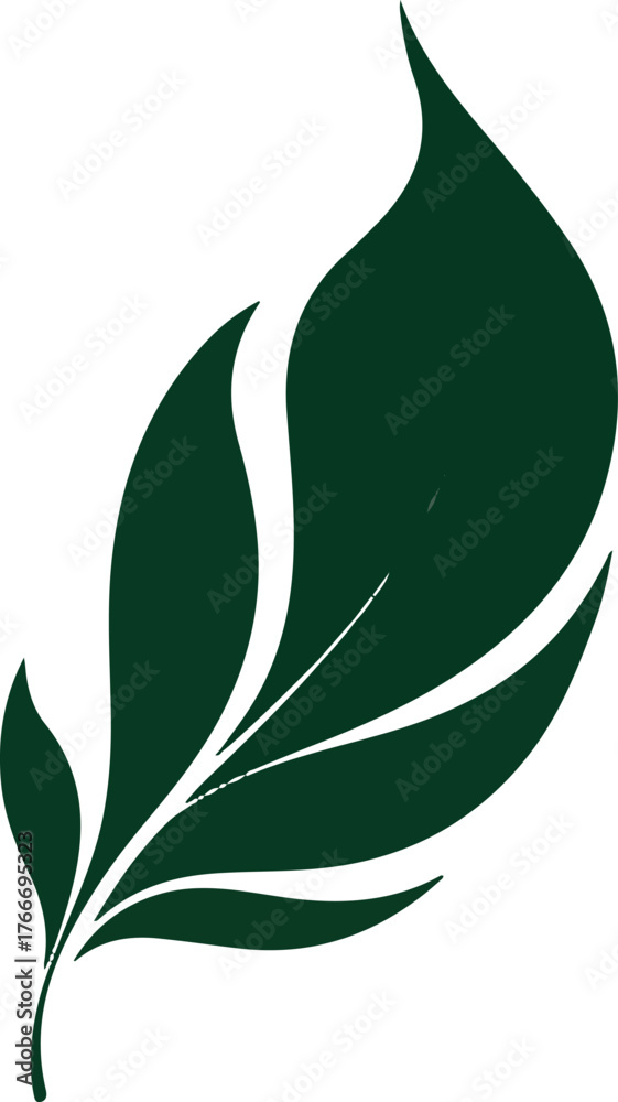 Obraz premium Organic Leaves Eco Elements Nature Leaf Green Foliage Natural Background