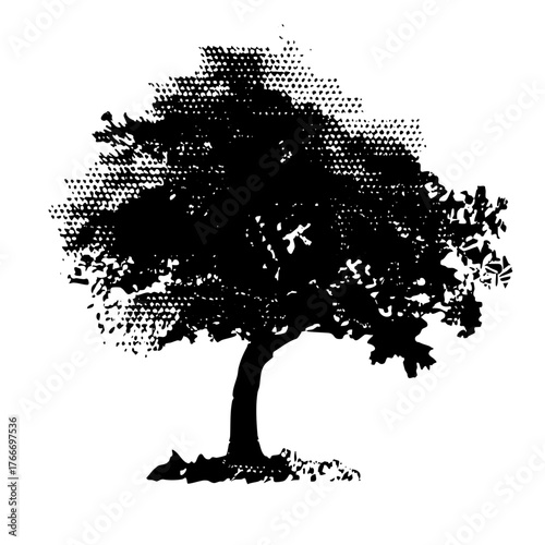 Tree Illustrates Halftone Texture in a Park