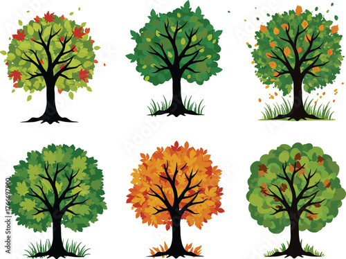 Seasonal tree foliage, autumn transition, nature illustration, environmental change, leaf color variation, cad drawing flat vector illustration