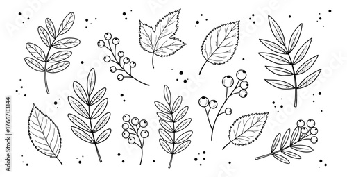 Elegant botanical pattern with leaves and berries in a delicate line art style