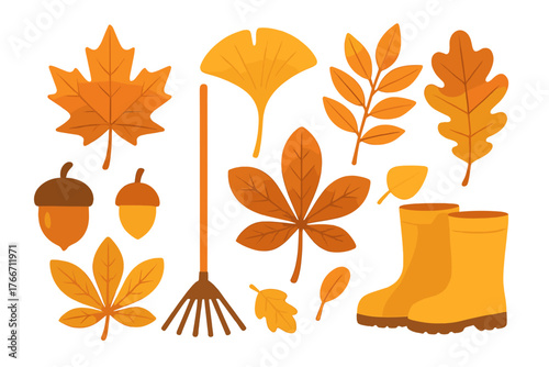 Colorful autumn leaves, acorns, gardening rake, and rubber boots set