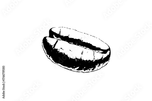 Coffee bean illustrates roasting process in a studio