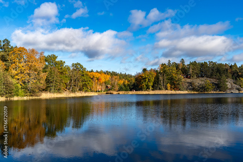 Amazing view of a sunlit autumn forest with bright yellow, orange, and golden trees reflecting on the calm lake surface. Blue sky with fluffy white clouds above the colorful foliage creates a serene