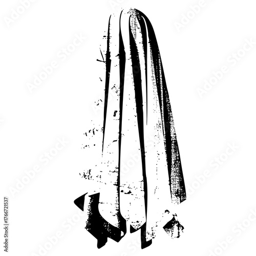 Veiled figure mystery in a dramatic portrait