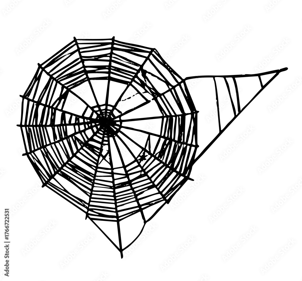 Obraz premium Spiderweb hangs intricately in a dark corner