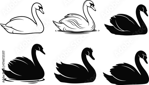Stylized swan illustration set, black and white bird poses, graceful neck curve, feather detail, water ripple, vector silhouette design
