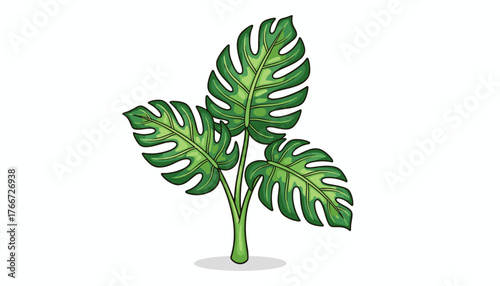 Vibrant illustration of three large, glossy green Philodendron Xanadu leaves, showcasing their characteristic deep lobes and intricate vein patterns, isolated on a clean white background, evoking a