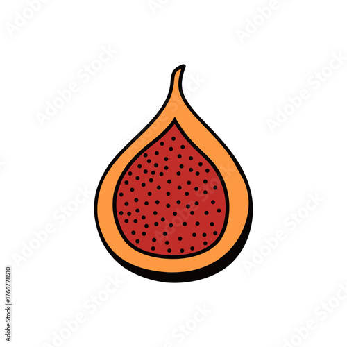 vector illustration of an apple