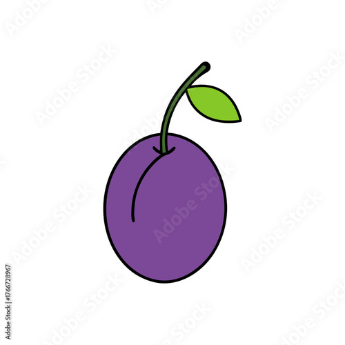vector illustration of plums