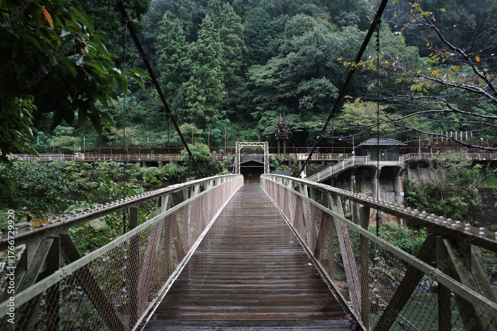 Obraz premium Old pedestrian suspension bridge leading into forest in rural Japan