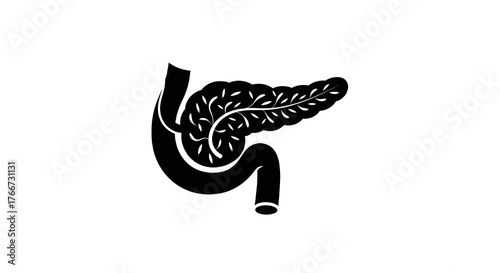 Human Pancreas Black Silhouette Anatomy Icon — Minimal Medical Organ Symbol 