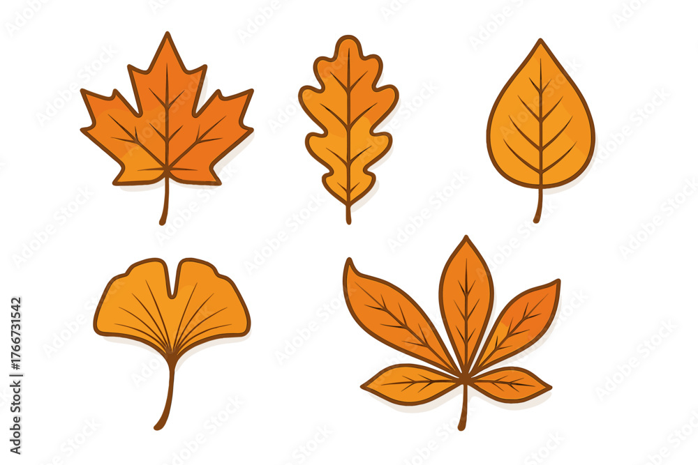 Fototapeta premium Set of various autumn tree leaves including maple, oak, and ginkgo in warm seasonal colors