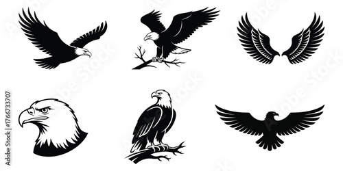 A graphic collection of six distinct eagle illustrations in a bold silhouette style