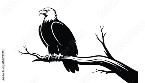 A striking black and white silhouette of a bald eagle perched on a bare tree branch