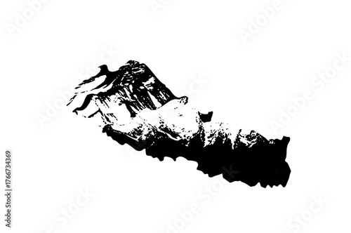 Leaping Dolphin performs acrobatics in ocean waters