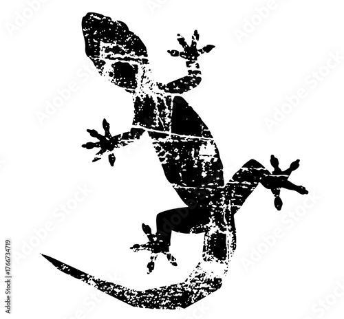 Lizard clings textured surface, illustration for wildlife design