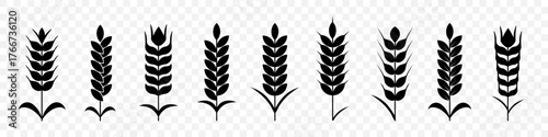 Wheat ear icons for agriculture and farming themes. Grain symbols representing organic cereal and harvest. Clean silhouettes for food production graphics