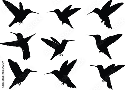 Hummingbird silhouette set, black flying bird vector, hovering poses, wildlife illustration, dynamic wing motion, nature design on white background