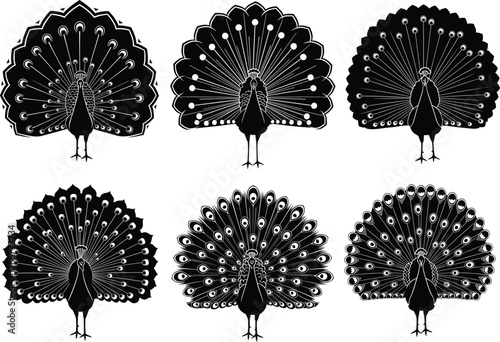 Stylized peacock silhouette set, black and white vector birds, ornate tail feathers, elegant wildlife design, artistic nature illustration collection