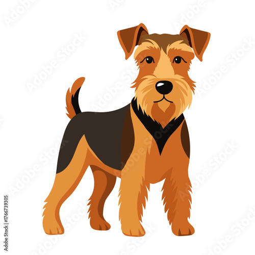 airedale terrier purebred dog full body, vector illustration